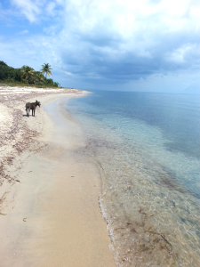Placencia Belize Beach